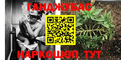 СК Моздок