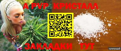 СК Моздок