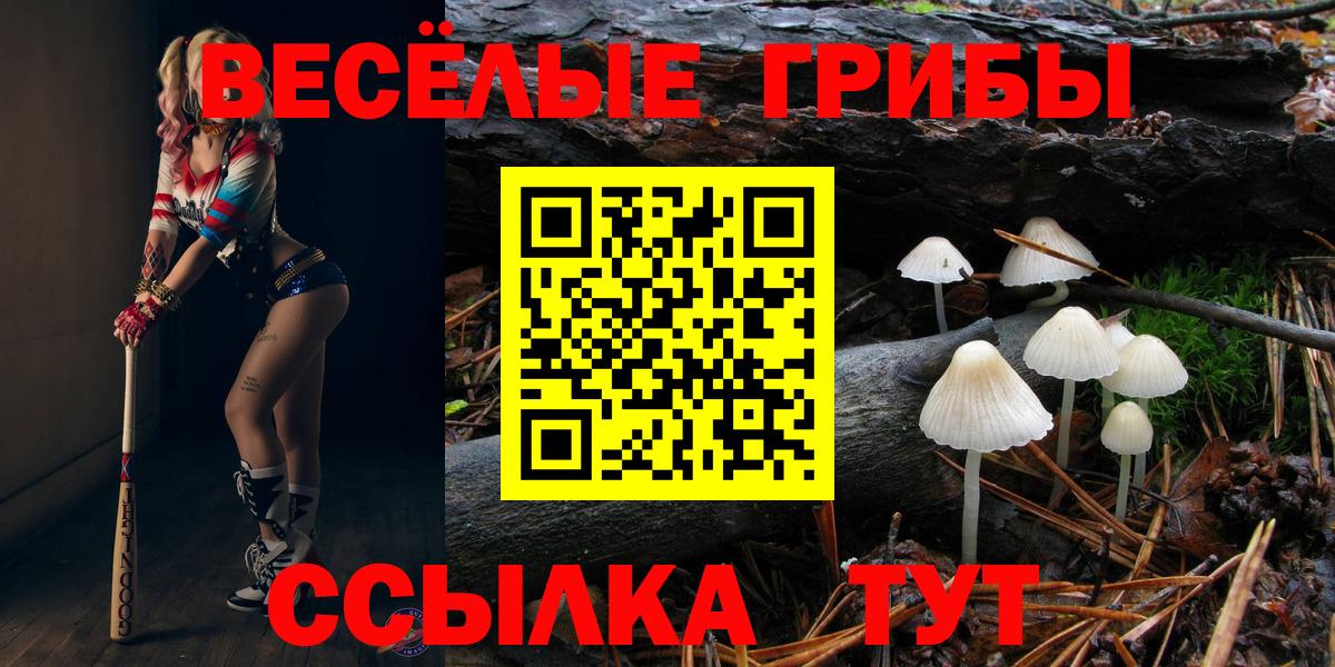Псилоцибиновые грибы Magic Shrooms  Вход с VPN  Псилоцибиновые грибы прущие грибы  Заречный 